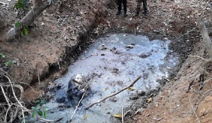 Diduga Terperosok Masuk Parit, Gajah Umur 1,5 Tahun Ini Ditemukan Belulang