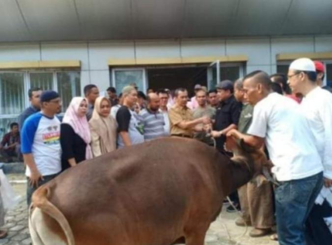 PWI Riau Sembelih 7 Ekor Sapi dan 2 Ekor Kambing