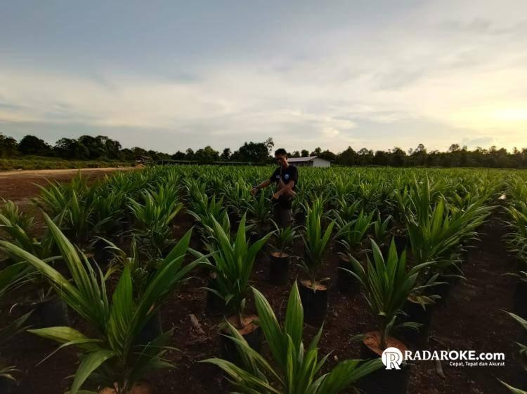 PT PAN United Diduga Lakukan Intimidasi Anggota, Pengacara: Kami Akan Melaporkan Koperasi BTBB