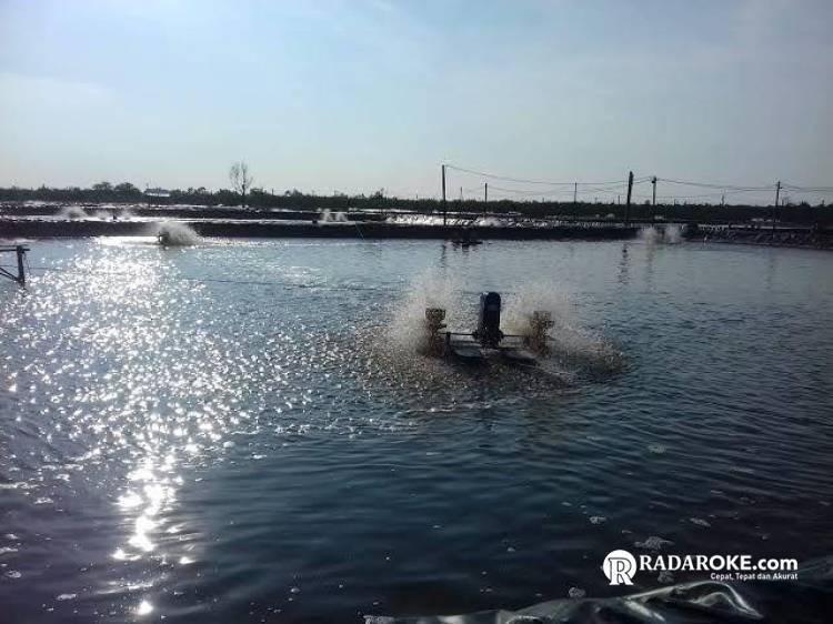 Ungkap Kasus Tipikor Tambak Udang, GMNI Bengkalis Apresiasi Kinerja Kejari