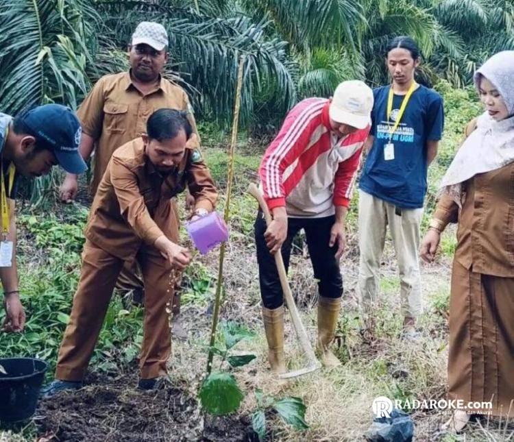 Tingkatkan Perekonomian Masyarakat, Pemdes Bantan Air dan Mahasiswa KKN UGM Tanam Ratusan Pohon Aren Lokal