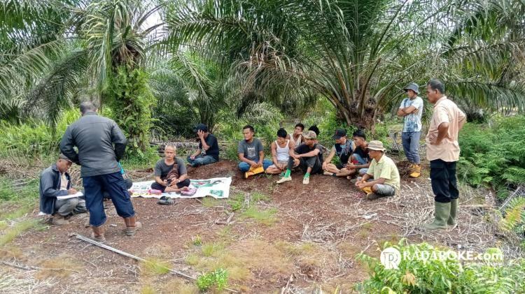 Koperasi BBDM Pastikan Pengelolaan Kebun Plasma Sah dan Sesuai Prosedur