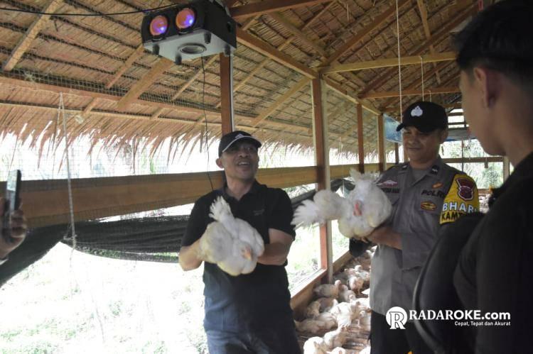 Kunjungi BUMDes Usaha Ayam Potong di Pangkalan Batang Barat, Wabup Bengkalis Berharap Perkuat Kemandirian dan Perekonomian