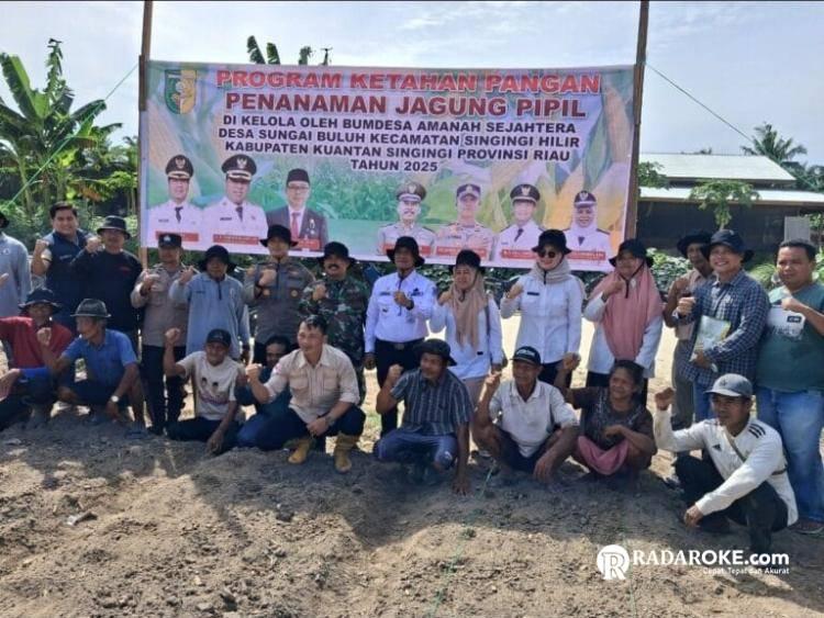 Program Ketahanan Pangan Desa Sungai Buluh Untuk Mensukseskan Swasembada Jagung