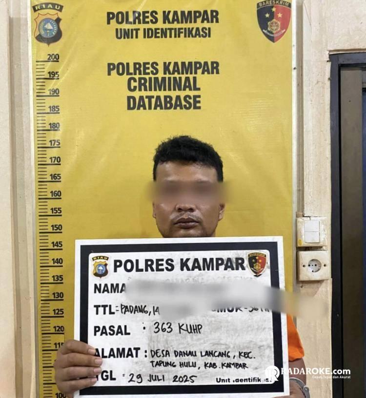 Tim Gasak Polres Kampar Tangkap Pelaku Pencurian Mobil Pick Up Antar Kabupaten