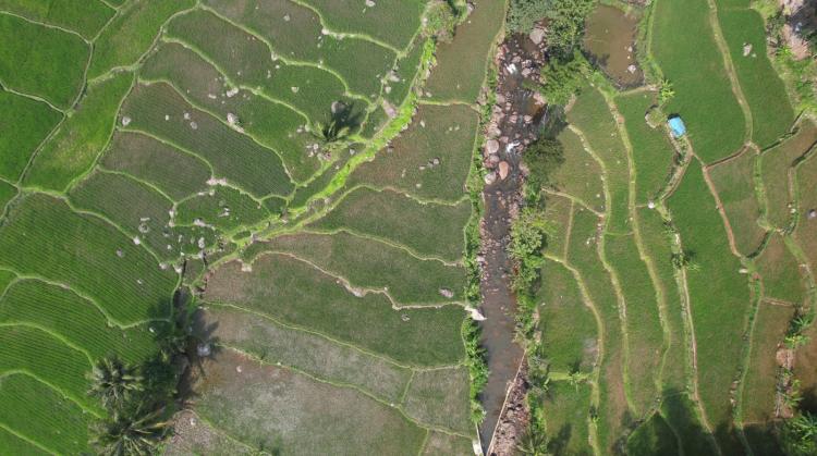 Pembangunan Harus Berkeadilan, Menteri Nusron: Reforma Agraria Jawab Ketimpangan Penguasaan dan Pemilikan Tanah