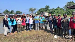Perkuat Ketahanan Pangan Nasional, YBBN Tanam Perdana Benih Padi Unggul PS-08 di Pandeglang