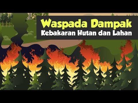 Pemerintah Desa Air Putih terus memperkuat upaya pencegahan kebakaran hutan dan lahan