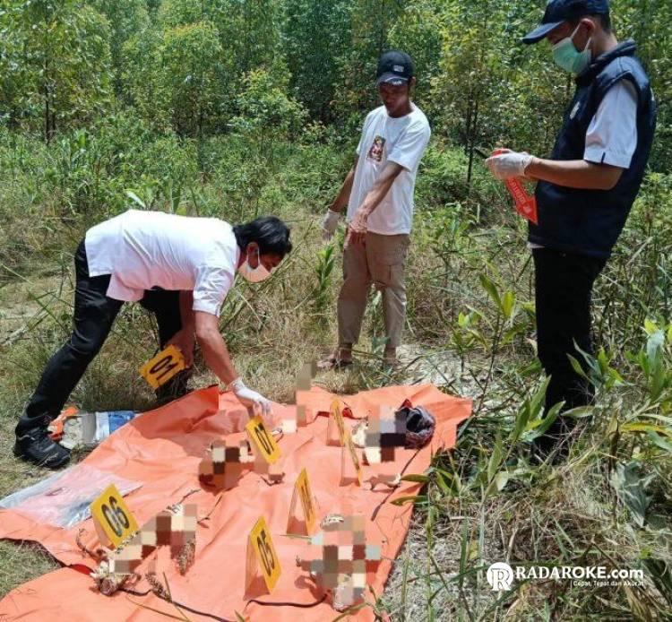 Polsek Singingi Hilir Tangani Penemuan Kerangka Manusia di Areal PT RAPP