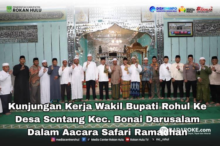 Wabup Syafaruddin Berharap Sontang Jadi Desa Percontohan 