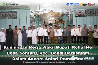 Wabup Syafaruddin Berharap Sontang Jadi Desa Percontohan 