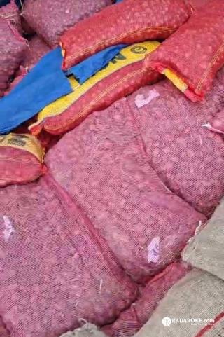 Puluhan Ton Bawang dan Cabai Ilegal Asal Tanjung Pinang Diamankan di Tembilahan