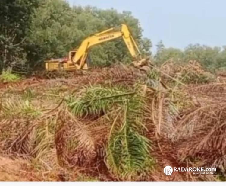 Kian Memanas, Diawasi Keamanan Bayaran Berbekal Sajam, Kebun Sawit Petani Untuk Menafkahi Keluarga Dirusak Alat Berat