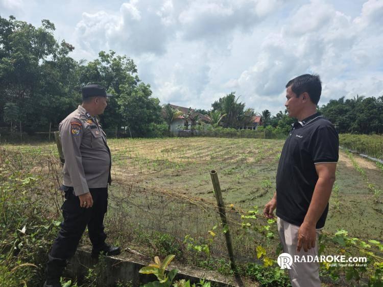 Wujudkan Swasembada Pangan, Bhabinkamtibmas dan Kelompok Tani Pastikan Perkembangan Tumbuh Jagung Pipil Seluas 1 Ha