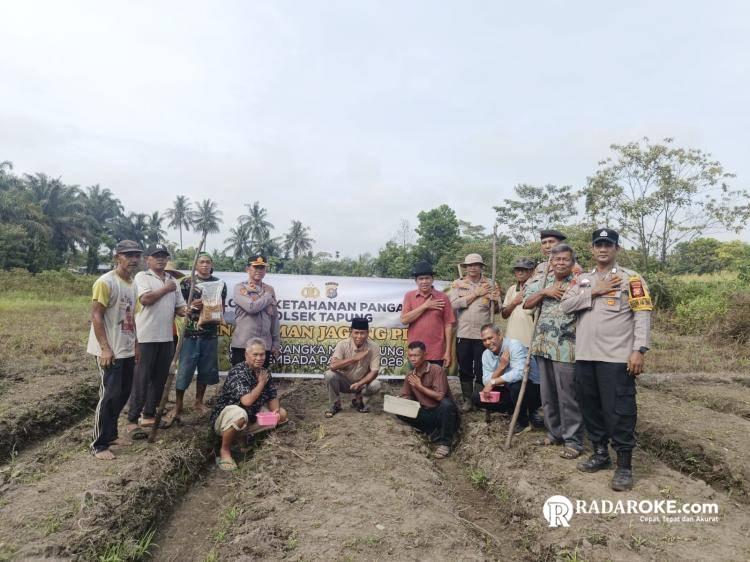 Bersama Petani, Polsek Tapung Kembali Tanam Jagung Seluas 2 Hektare