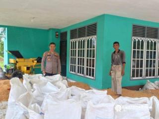 Polsek Tapung Hilir Hasilkan 4 Ton Jagung Pipil – Siap Dijual ke Bulog