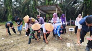 Dukung Asta Cita Presiden RI, Desa Bukit Raya Singingi Hilir Siap Wujudkan Swasembada Pangan Melalui Penanaman Jagung Pipil