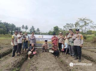 Bersama Petani, Polsek Tapung Kembali Tanam Jagung Seluas 2 Hektare