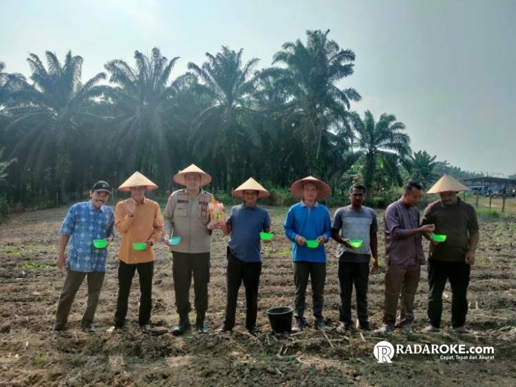 Desa Suka Damai Singingi Hilir Tanam Jagung Pipil Dukung Program Asta Cita Presiden RI