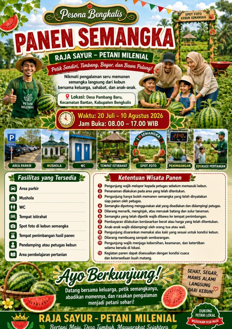 Jangan Lewatkan! Wisata Panen Semangka di Pambang Baru Hadir hingga 10 Agustus